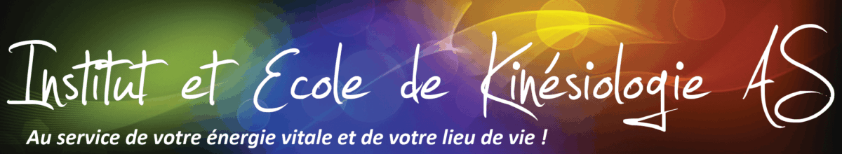 logo ecole et institut AS